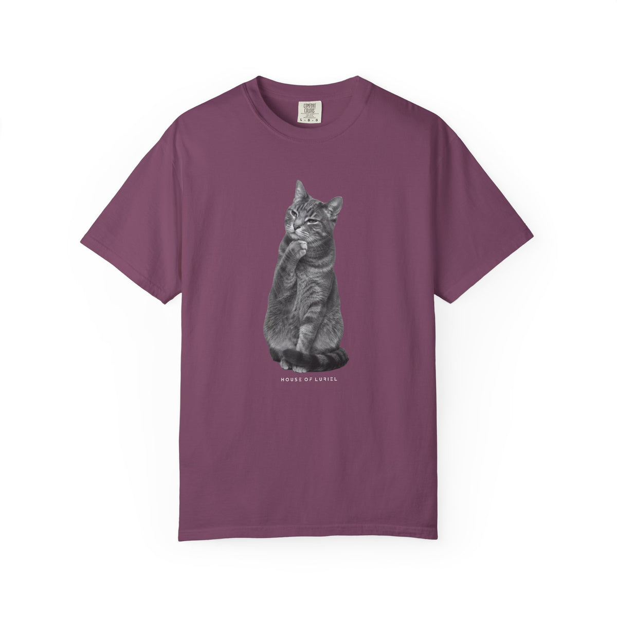 T-Shirt Did I leave the Oven On? Cat T-Shirt Did I leave the Oven On? Cat T-Shirt