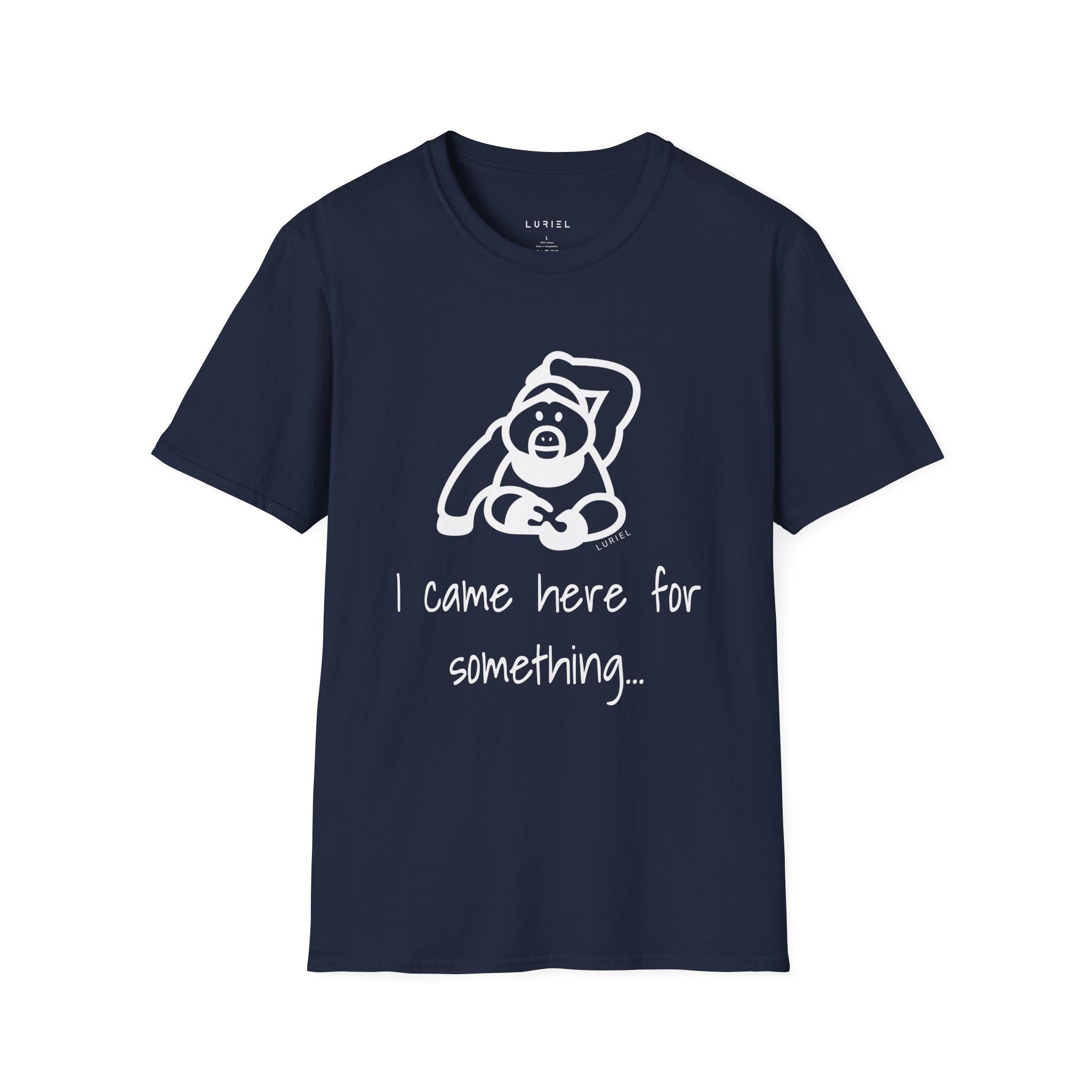 I came here for something T-Shirt