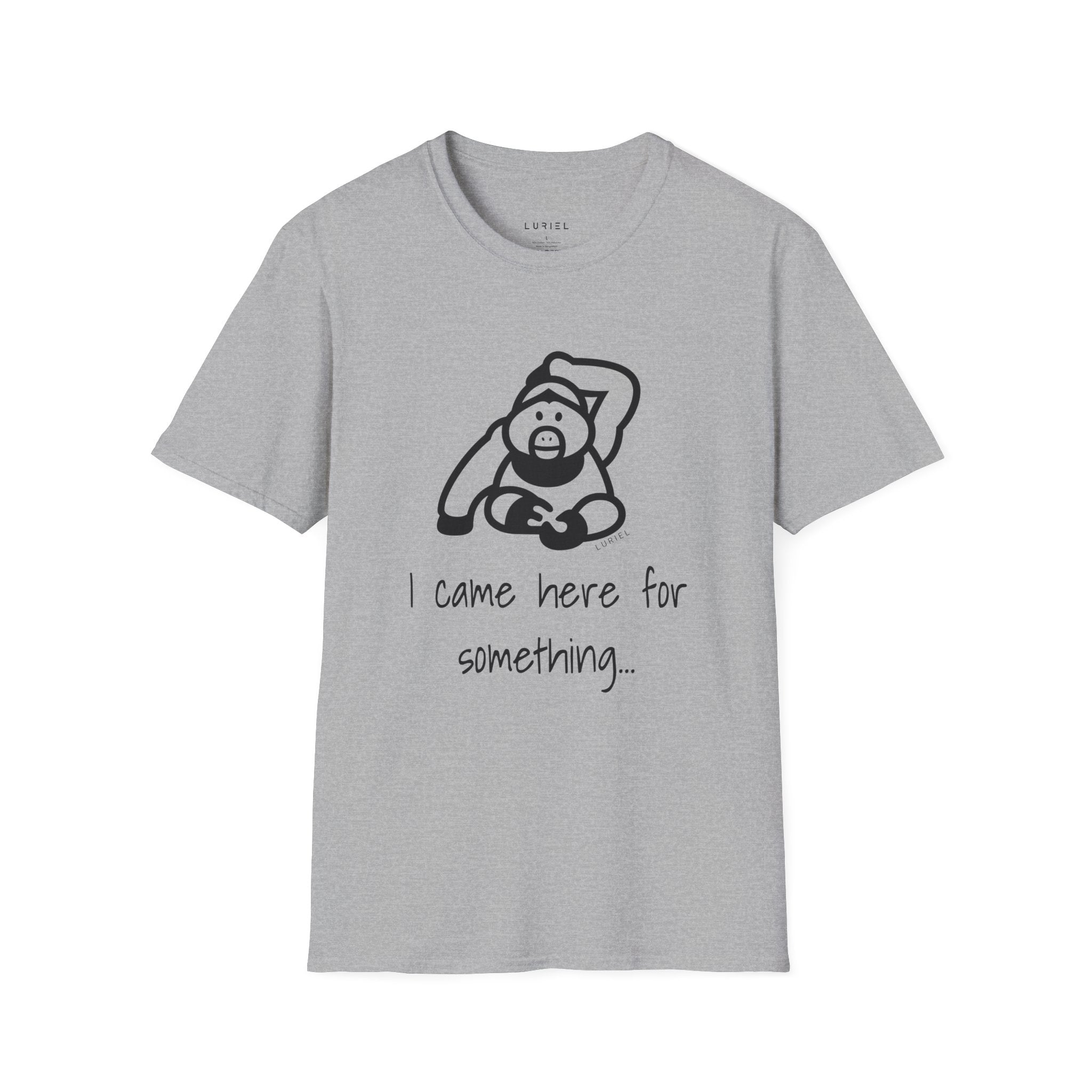 I came here for something T-Shirt