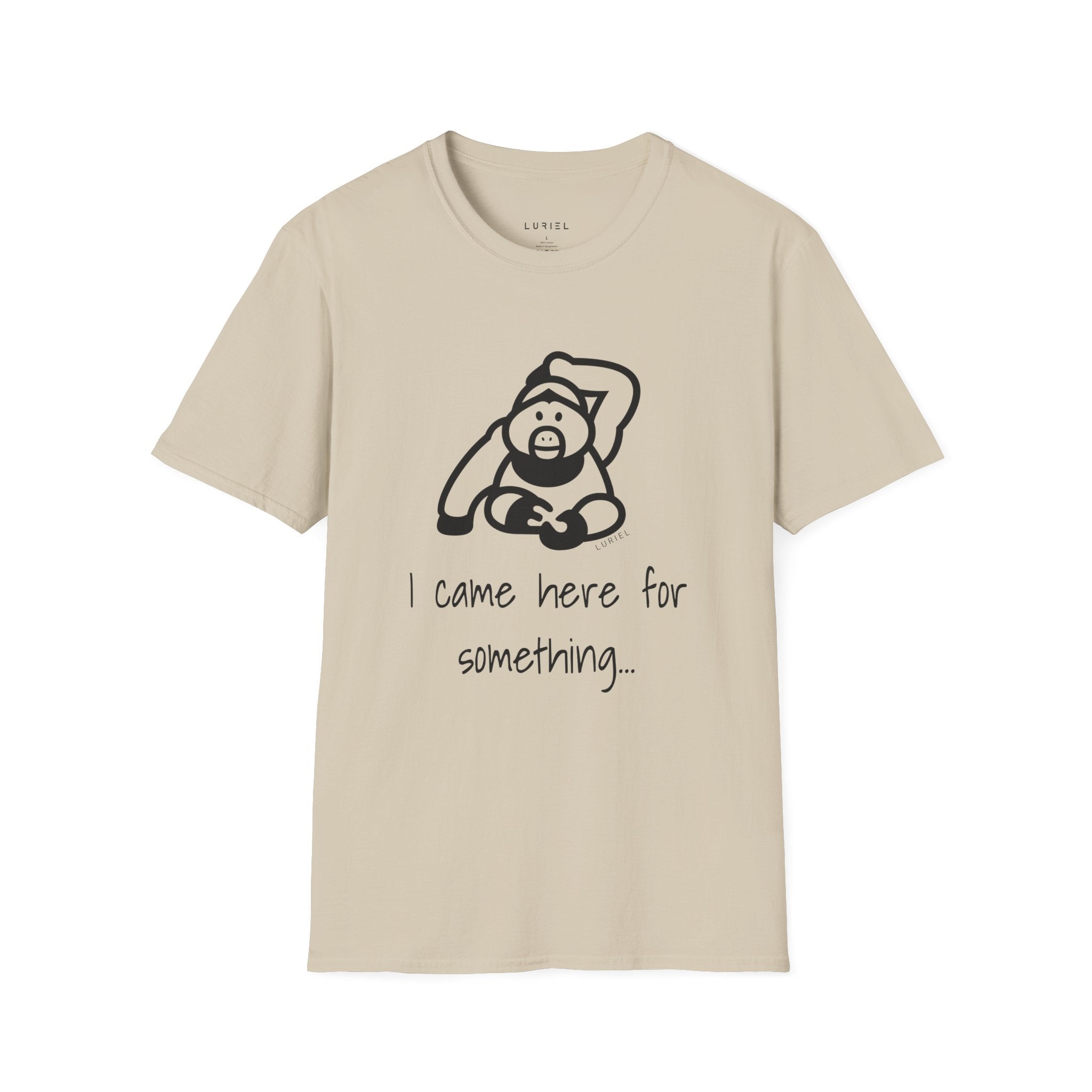 I came here for something T-Shirt