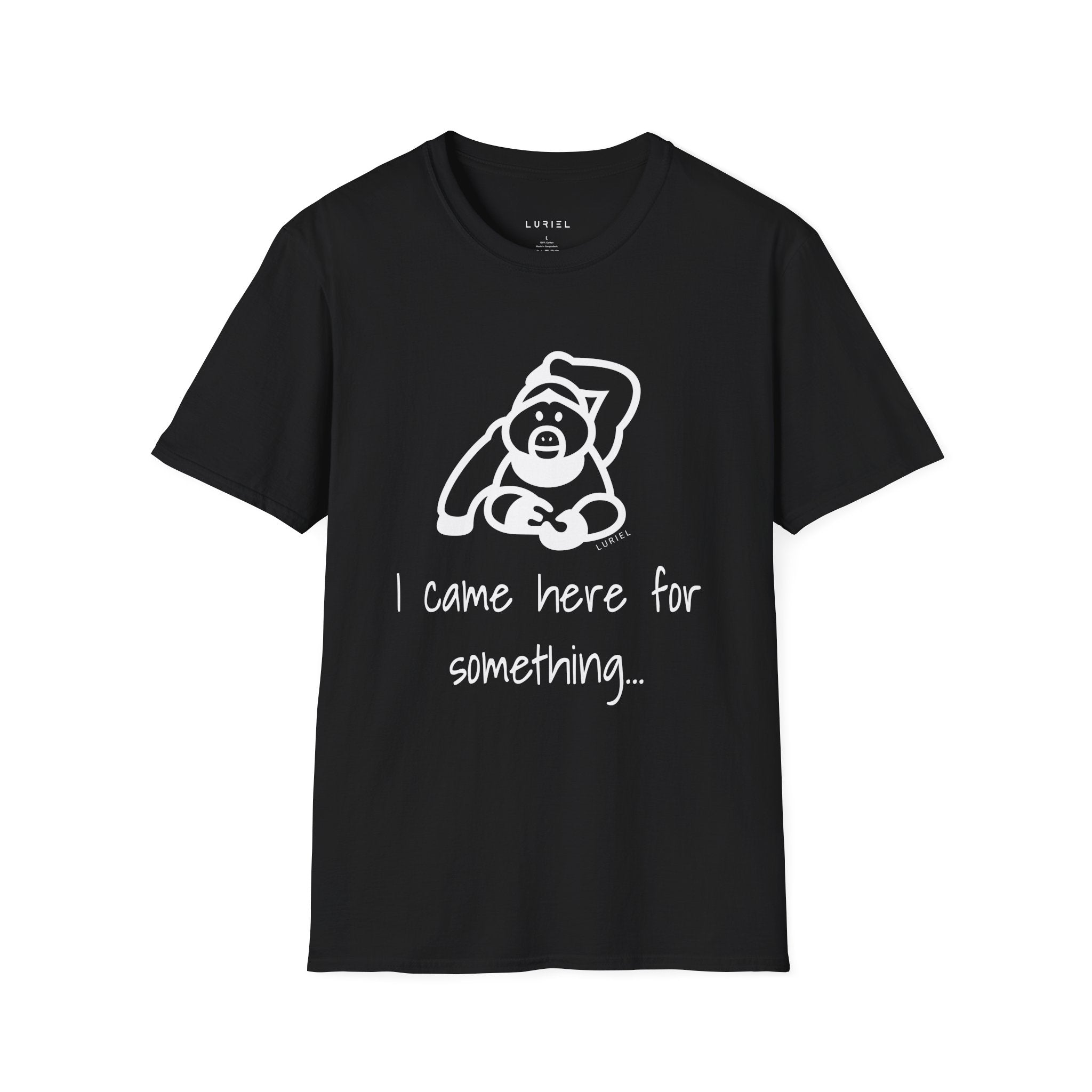 I came here for something T-Shirt