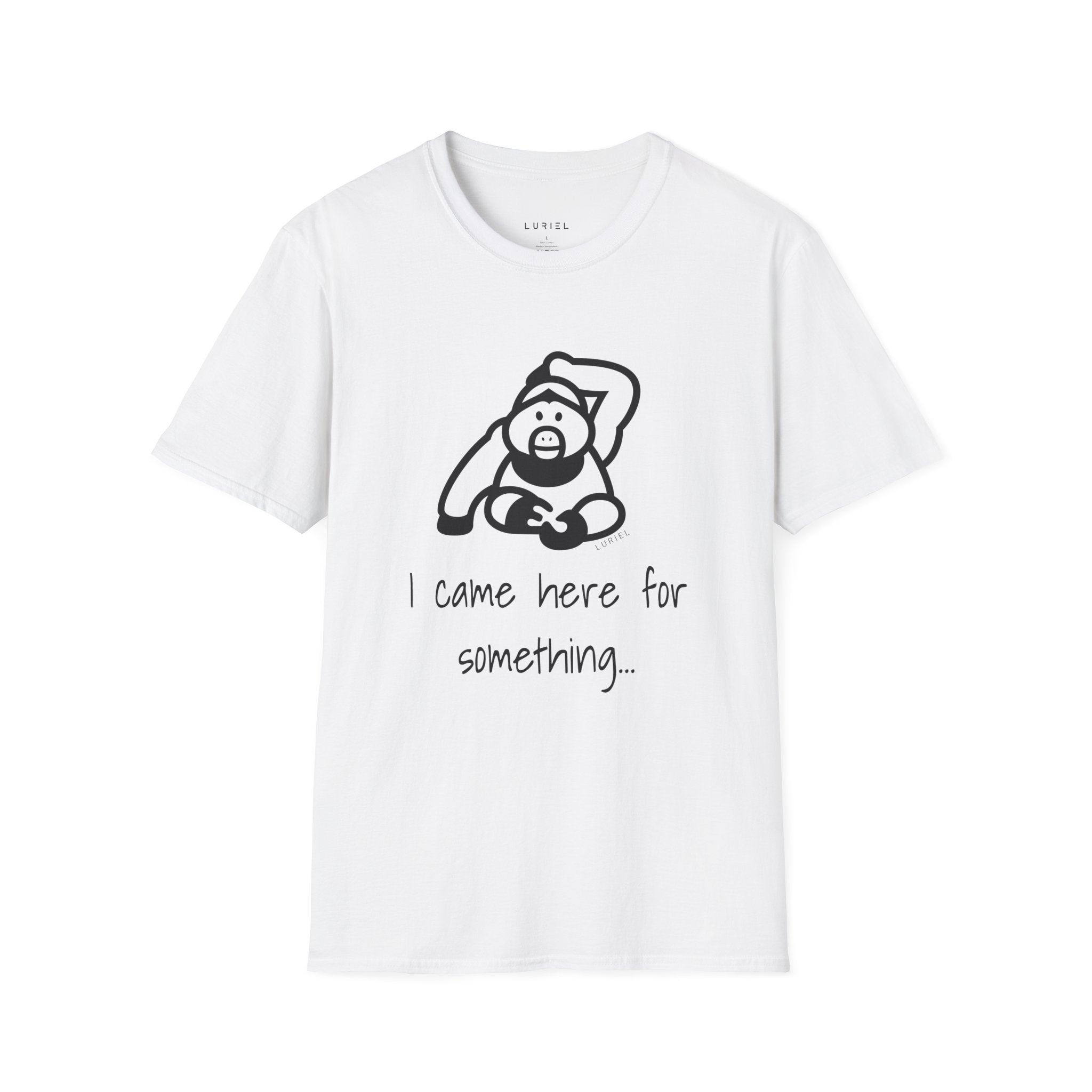 I came here for something T-Shirt