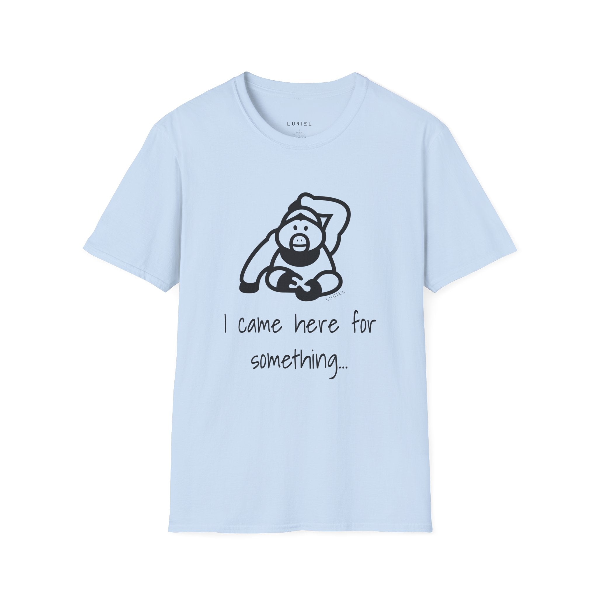 I came here for something T-Shirt