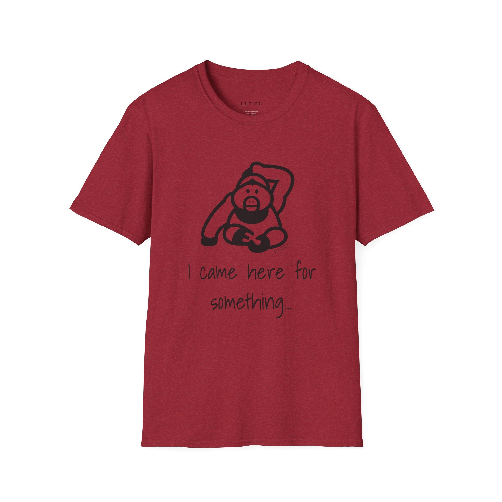 I came here for something T-Shirt