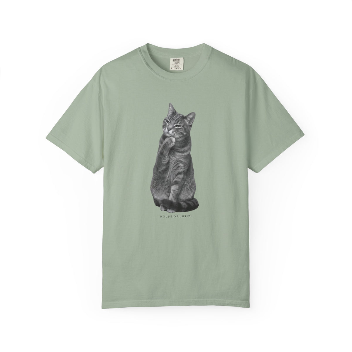 T-Shirt Did I leave the Oven On? Cat T-Shirt Did I leave the Oven On? Cat T-Shirt