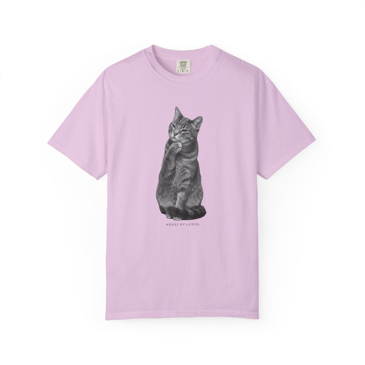 T-Shirt Did I leave the Oven On? Cat T-Shirt Did I leave the Oven On? Cat T-Shirt