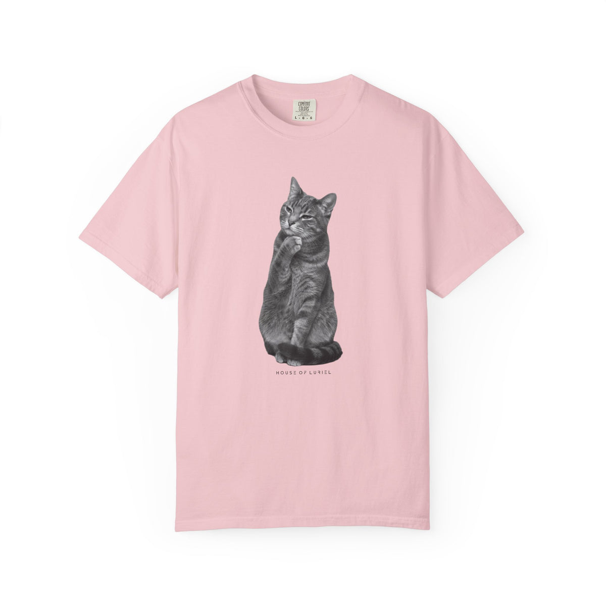 T-Shirt Did I leave the Oven On? Cat T-Shirt Did I leave the Oven On? Cat T-Shirt