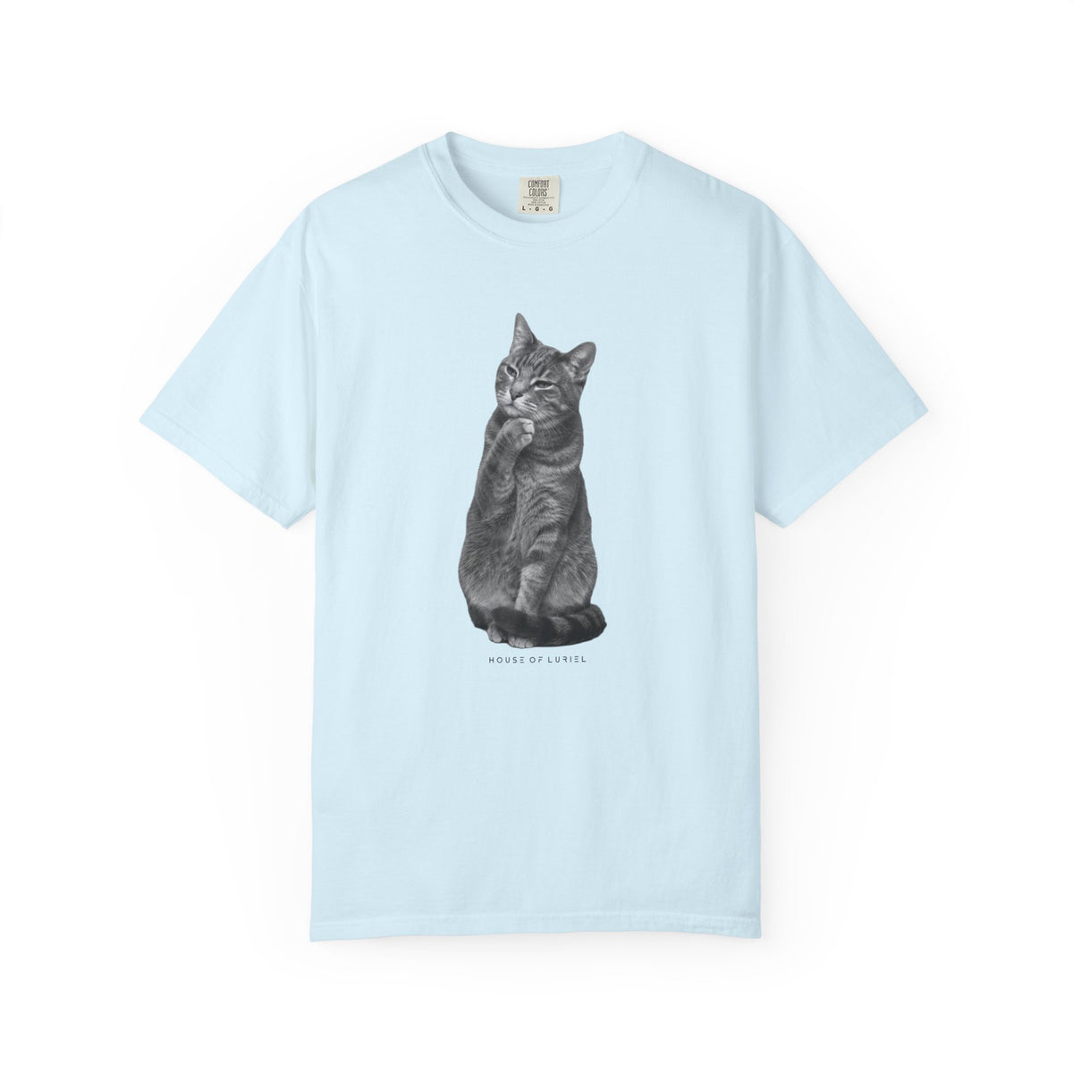 T-Shirt Did I leave the Oven On? Cat T-Shirt Did I leave the Oven On? Cat T-Shirt