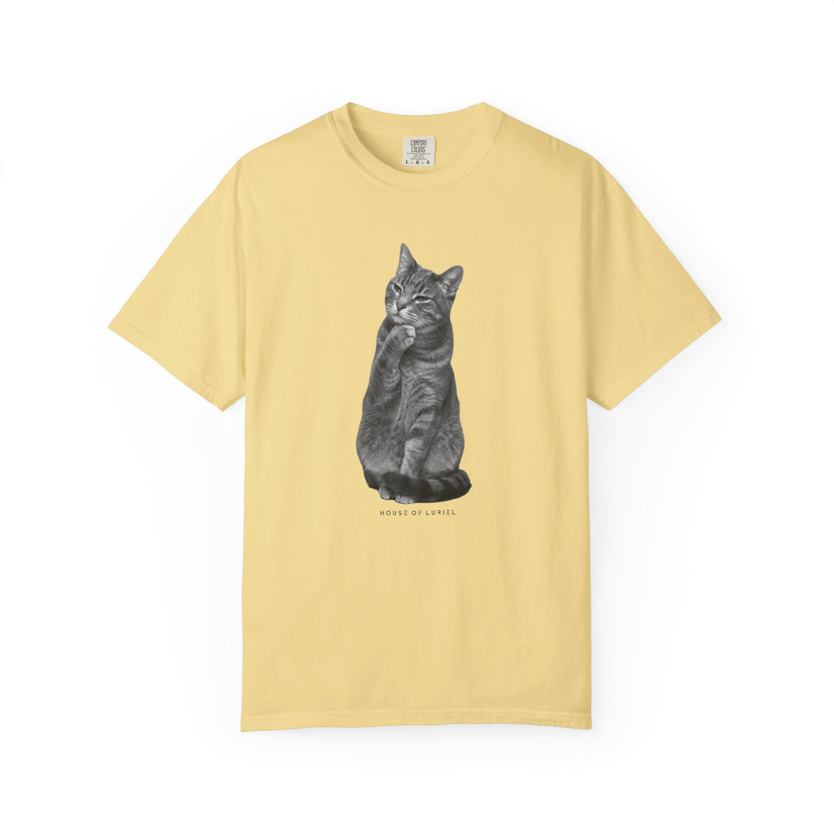 T-Shirt Did I leave the Oven On? Cat T-Shirt Did I leave the Oven On? Cat T-Shirt