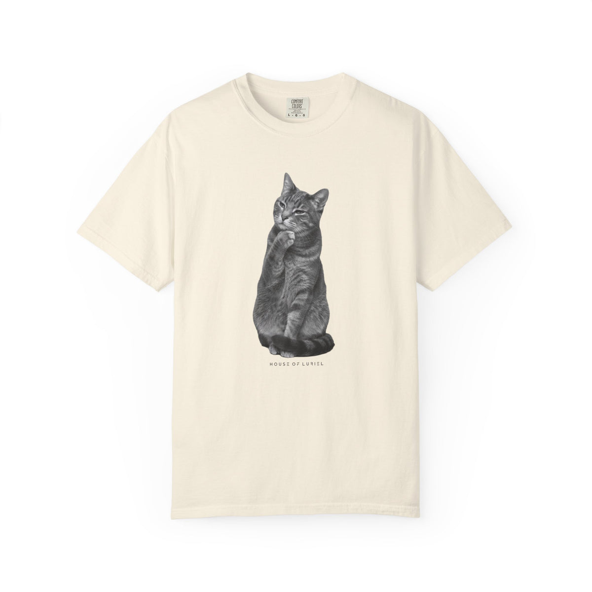 T-Shirt Did I leave the Oven On? Cat T-Shirt Did I leave the Oven On? Cat T-Shirt