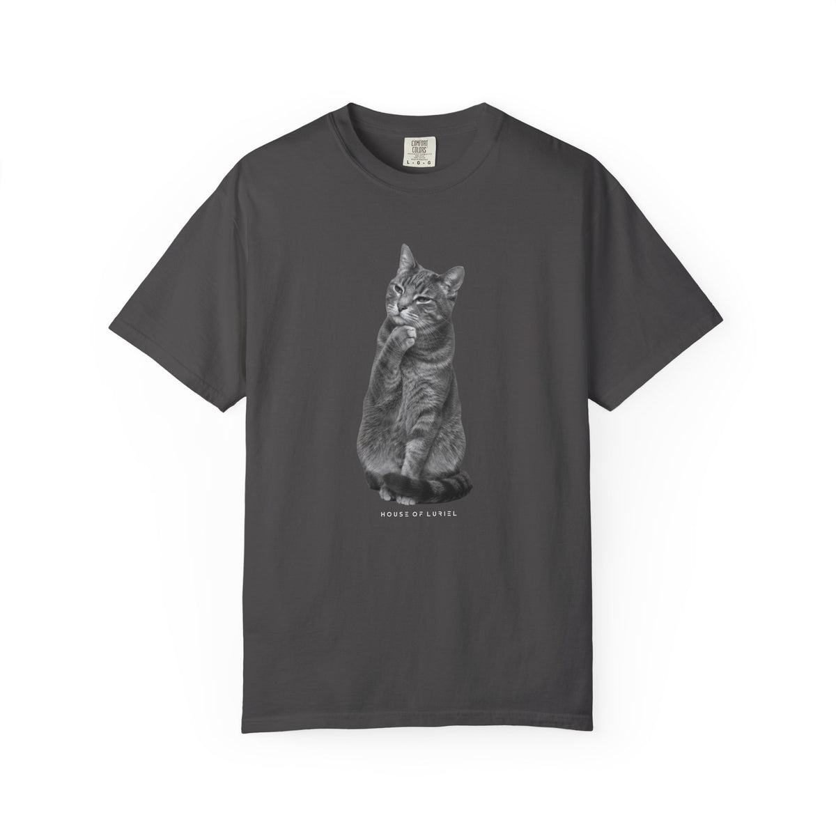 T-Shirt Did I leave the Oven On? Cat T-Shirt Did I leave the Oven On? Cat T-Shirt