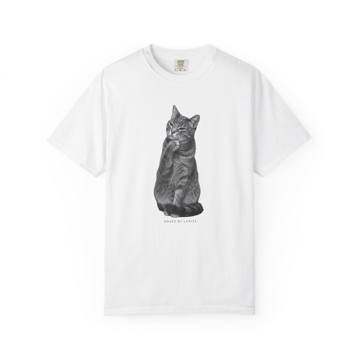 T-Shirt Did I leave the Oven On? Cat T-Shirt Did I leave the Oven On? Cat T-Shirt