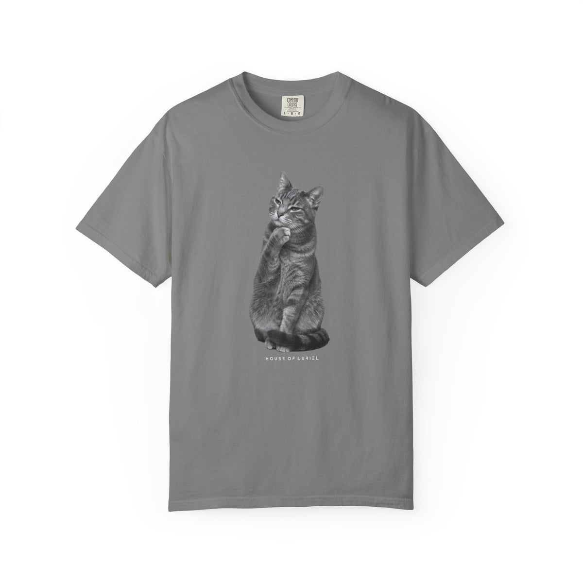 T-Shirt Did I leave the Oven On? Cat T-Shirt Did I leave the Oven On? Cat T-Shirt