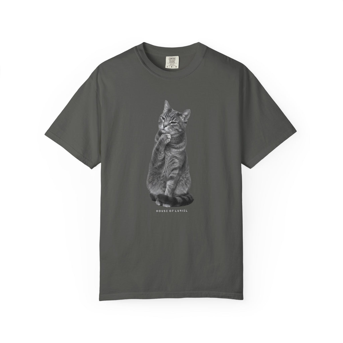 T-Shirt Did I leave the Oven On? Cat T-Shirt Did I leave the Oven On? Cat T-Shirt