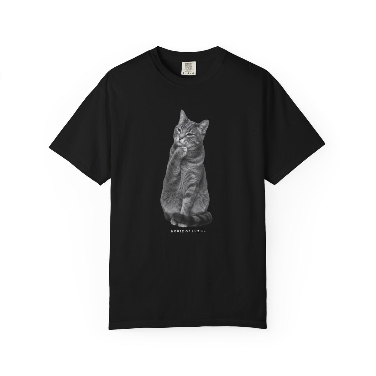 T-Shirt Did I leave the Oven On? Cat T-Shirt Did I leave the Oven On? Cat T-Shirt