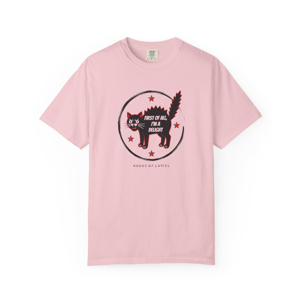 T-Shirt First Of All, I'm A Delight T-Shirt First Of All, I'm A Delight T-Shirt
